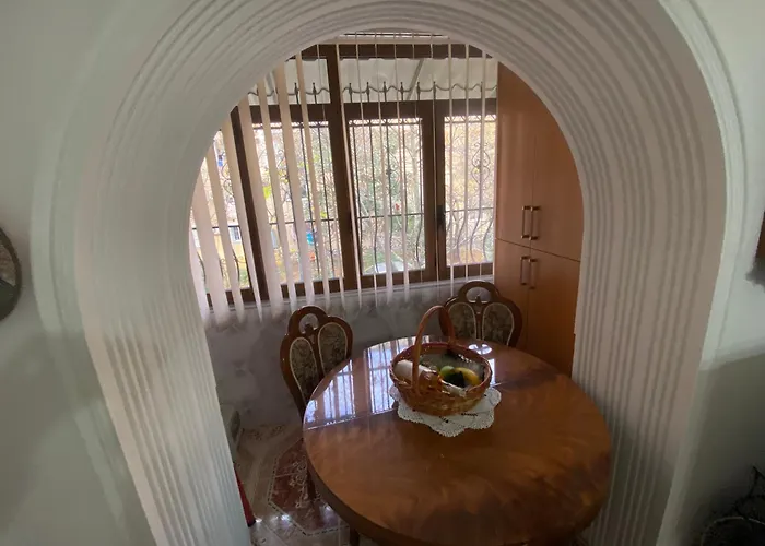 Comfort Zone 地拉那