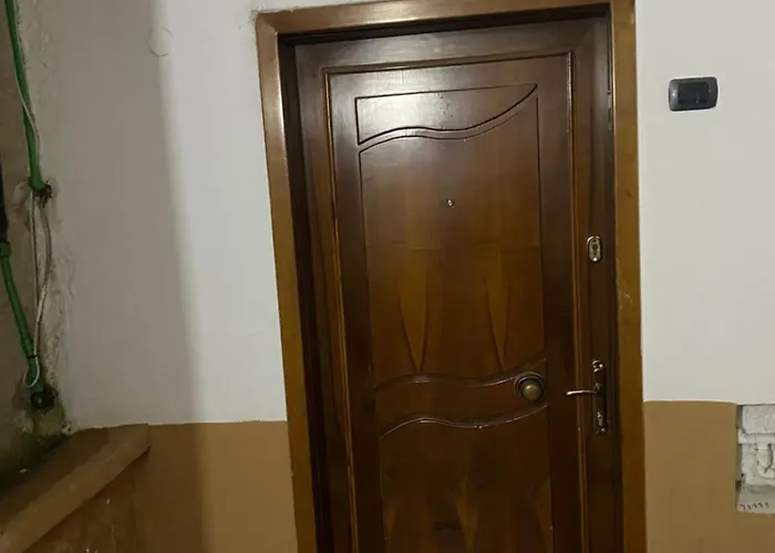 Comfort Zone تيرانا